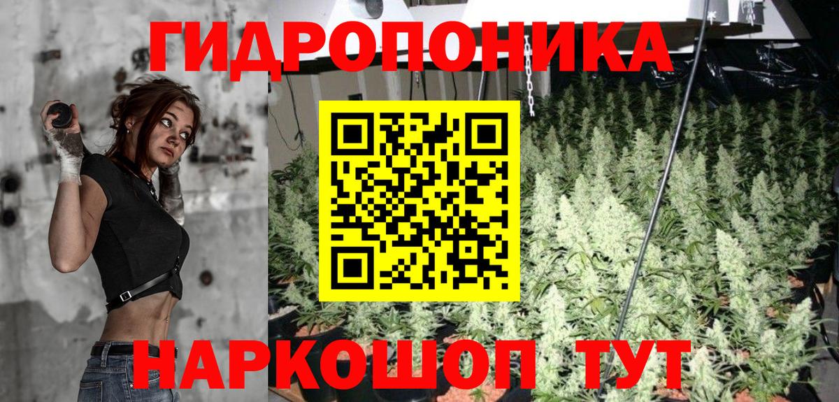 Конопля конопля  МАРИХУАНА White Widow  Вход с VPN  Каннабис Ganja  Бошки марихуана ГИДРОПОН  Старая Купавна 